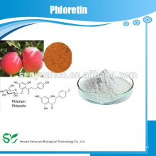 Natürlicher Apfelschalextrakt Phloretin 60-82-2